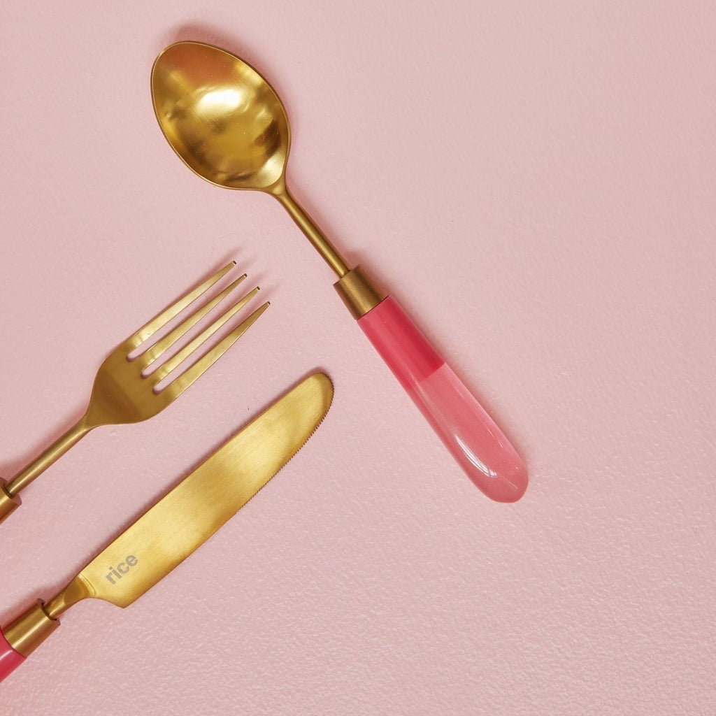 Stainless Steel Spoon with Pink Resin Handle