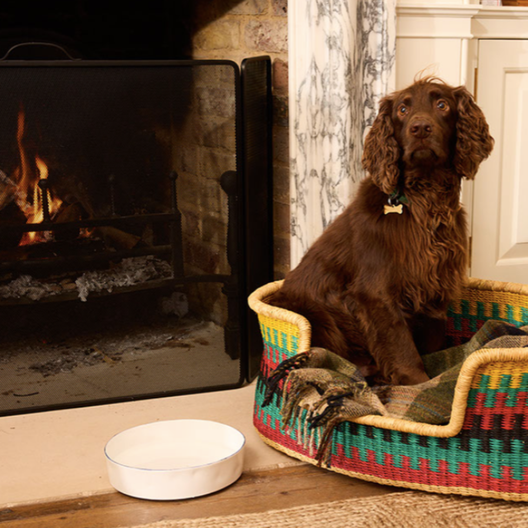 FELDSPAR Pet Bowl, 3 sizes