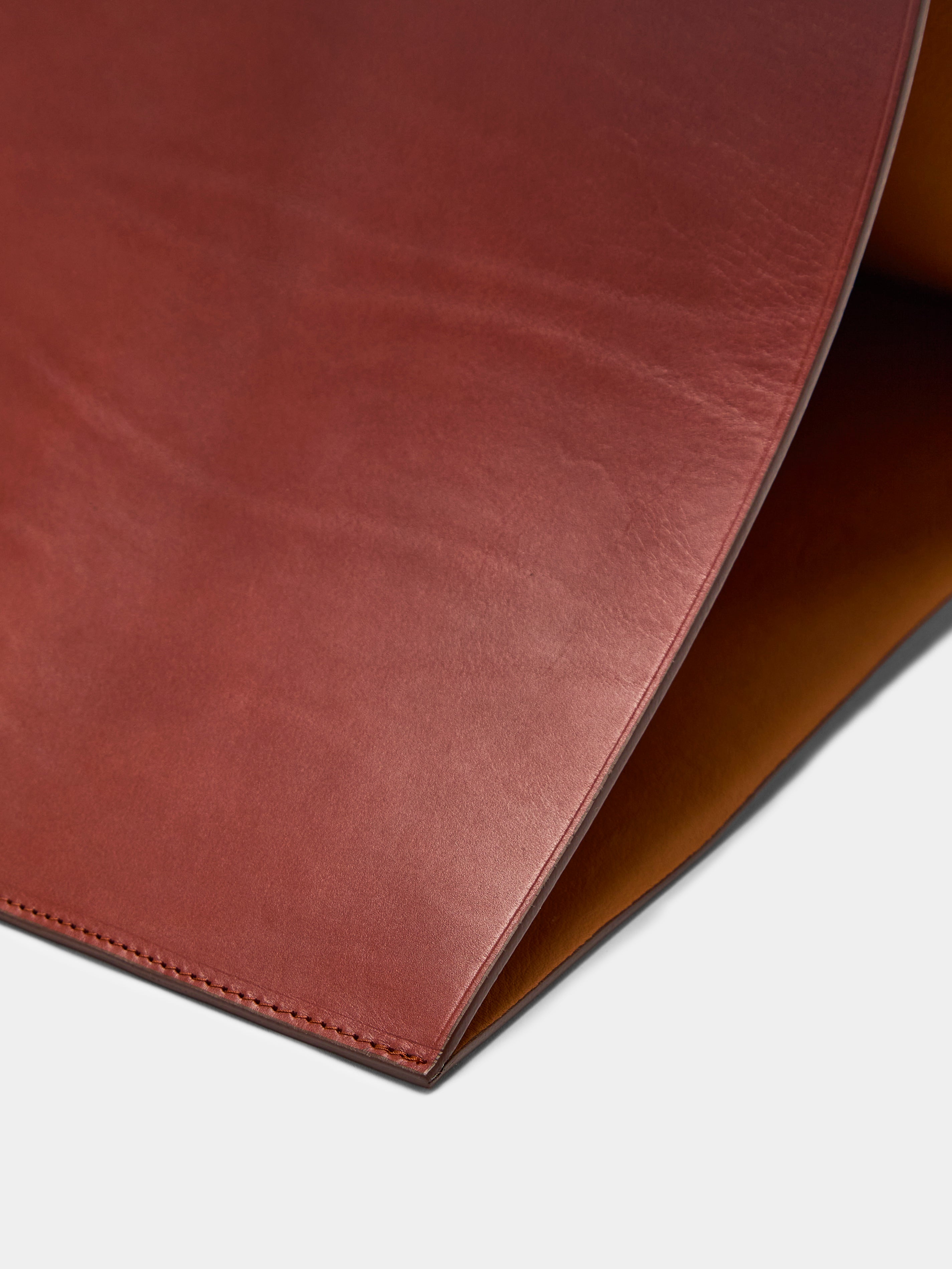 Leather Triangular Bin