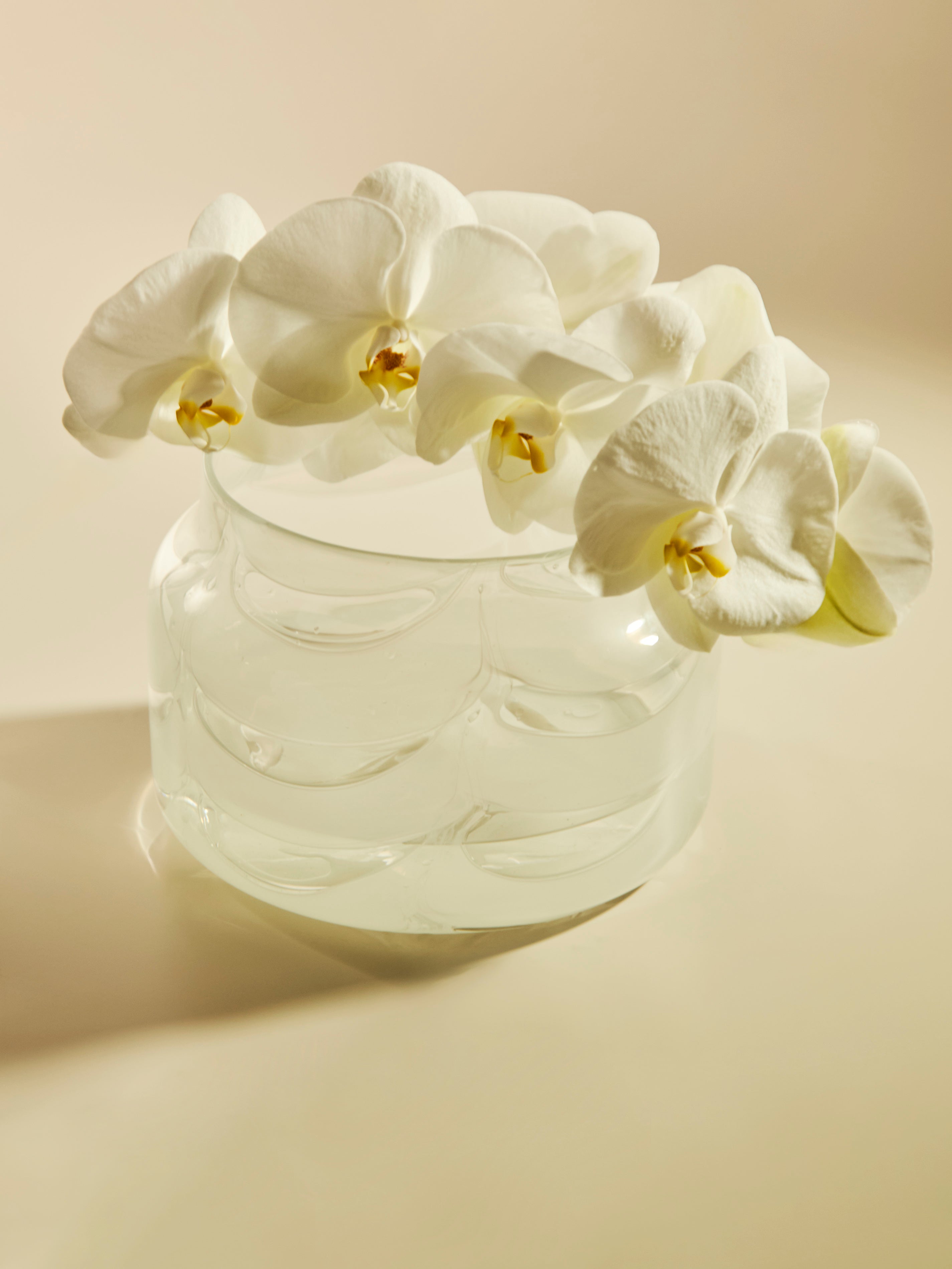 1970s Barovier & Toso Murano Glass Vase (8in/20cm)