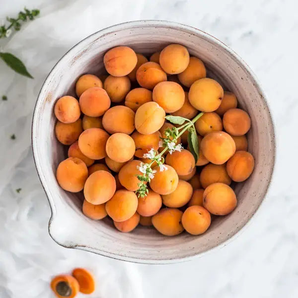 Neutra Kitchen UK - Rustic Mixing Bowl With Pourer, Large