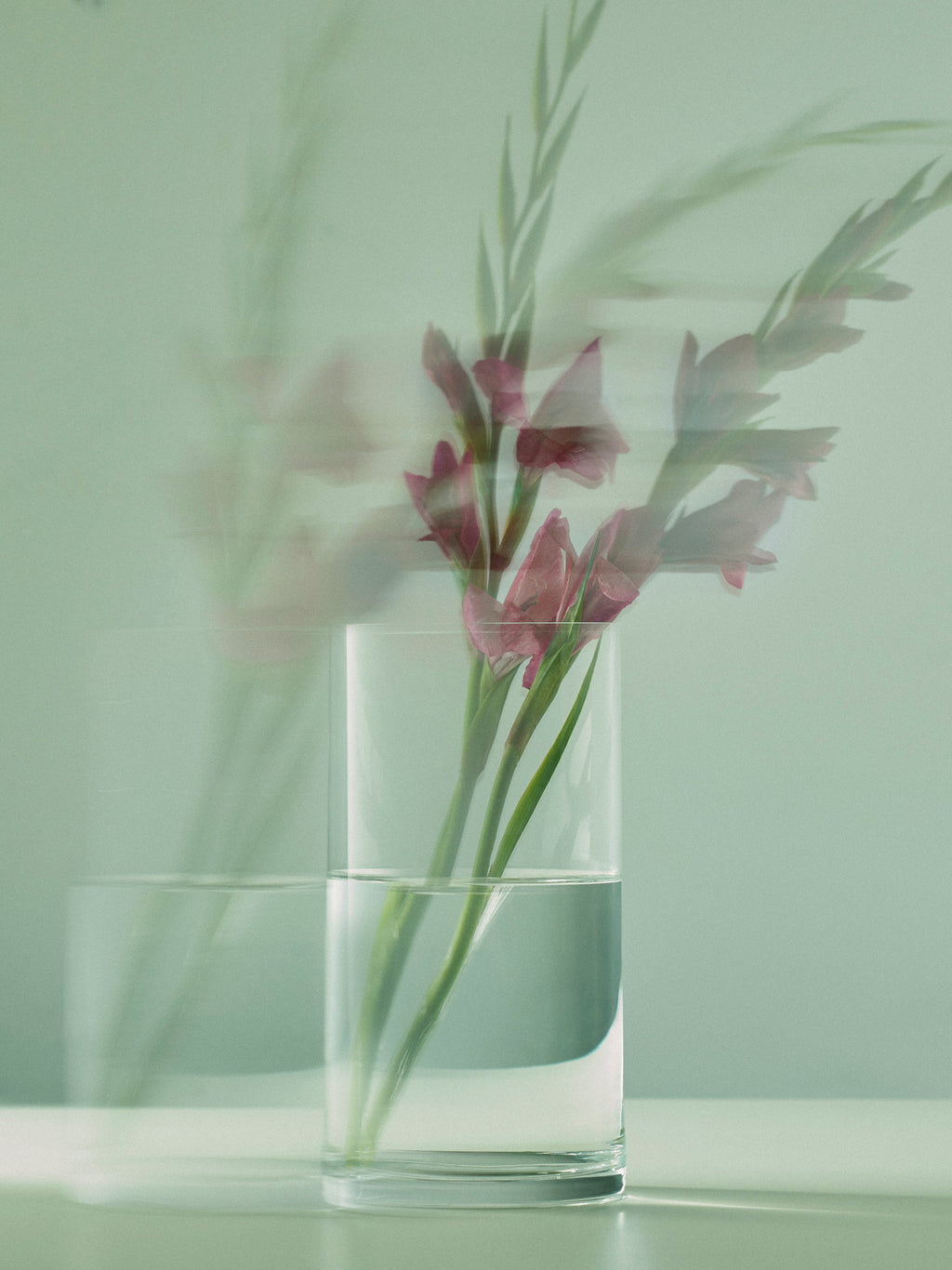 Hand-Blown Crystal Lupine Vase (8in/20cm)