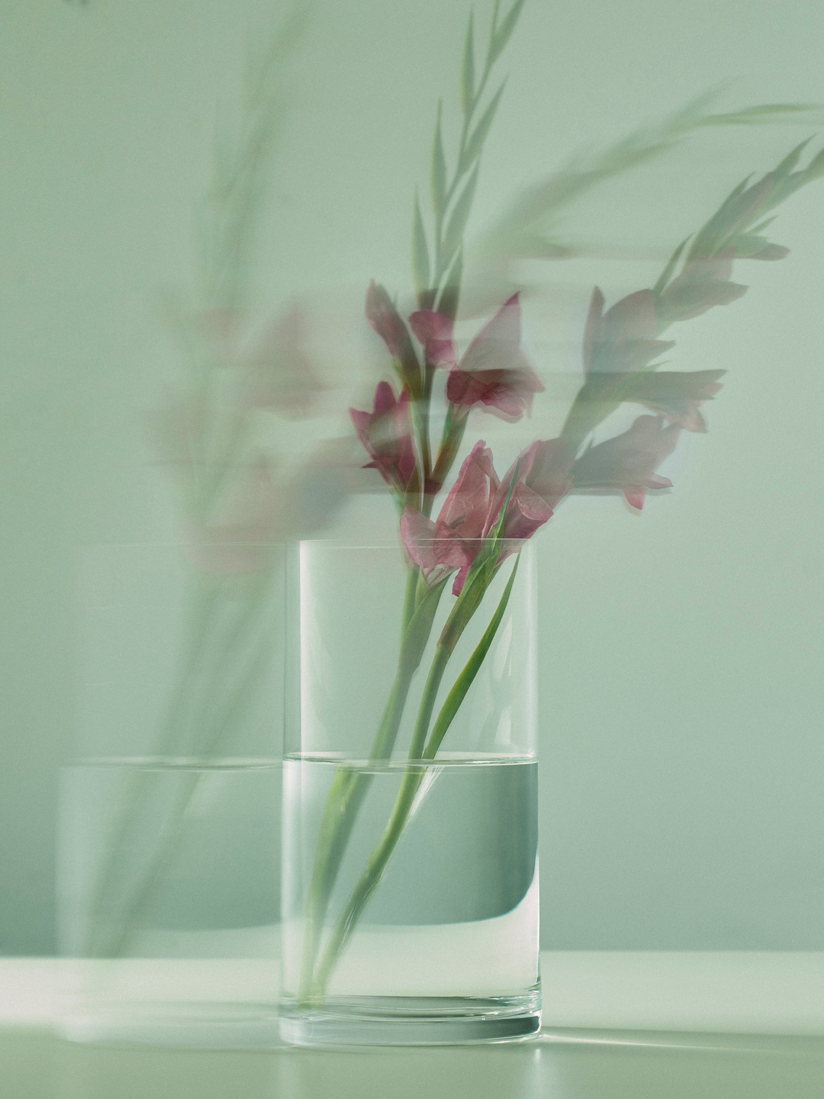 Hand-Blown Crystal Lupine Vase (8in/20cm)