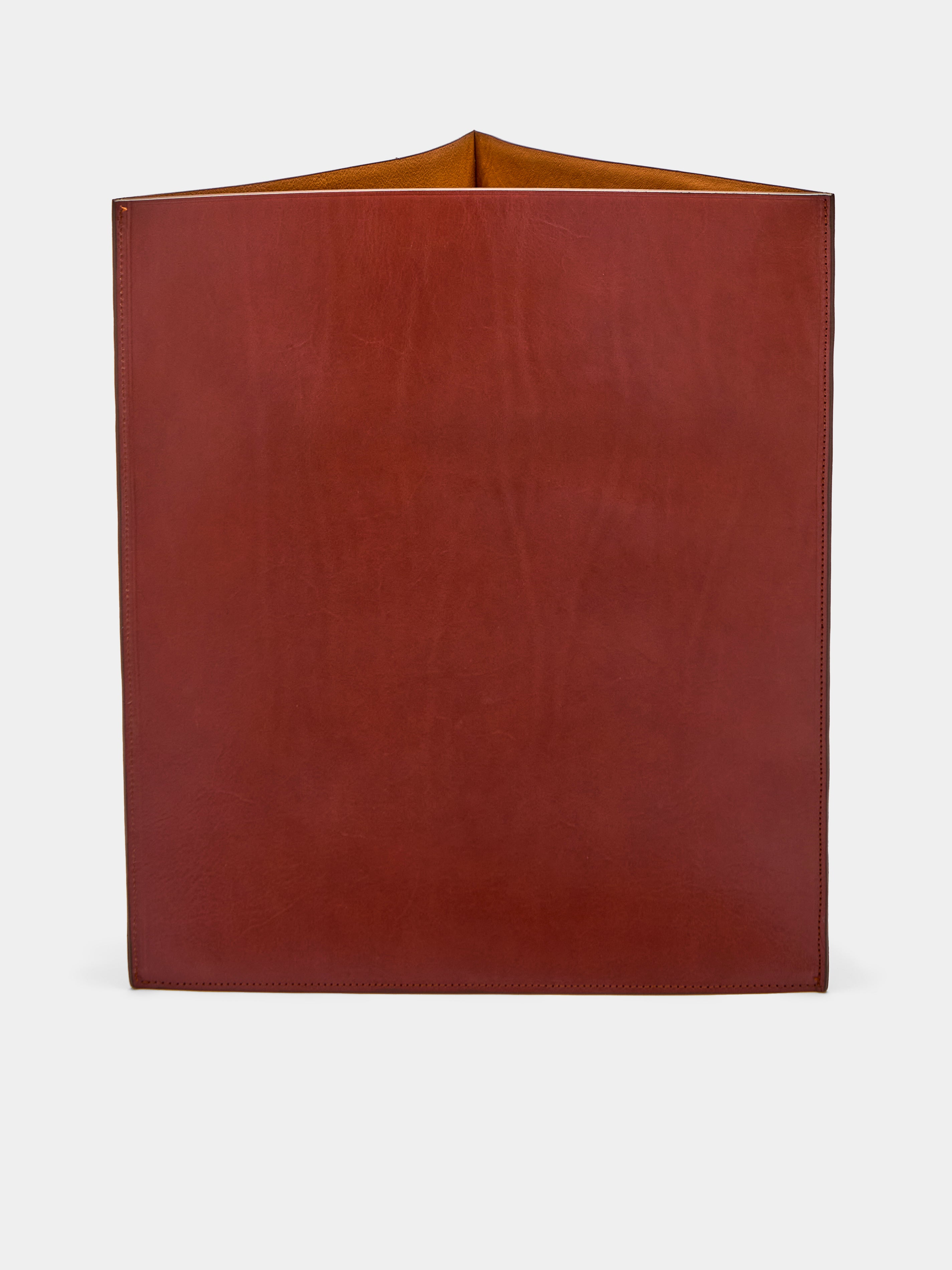 Leather Triangular Bin