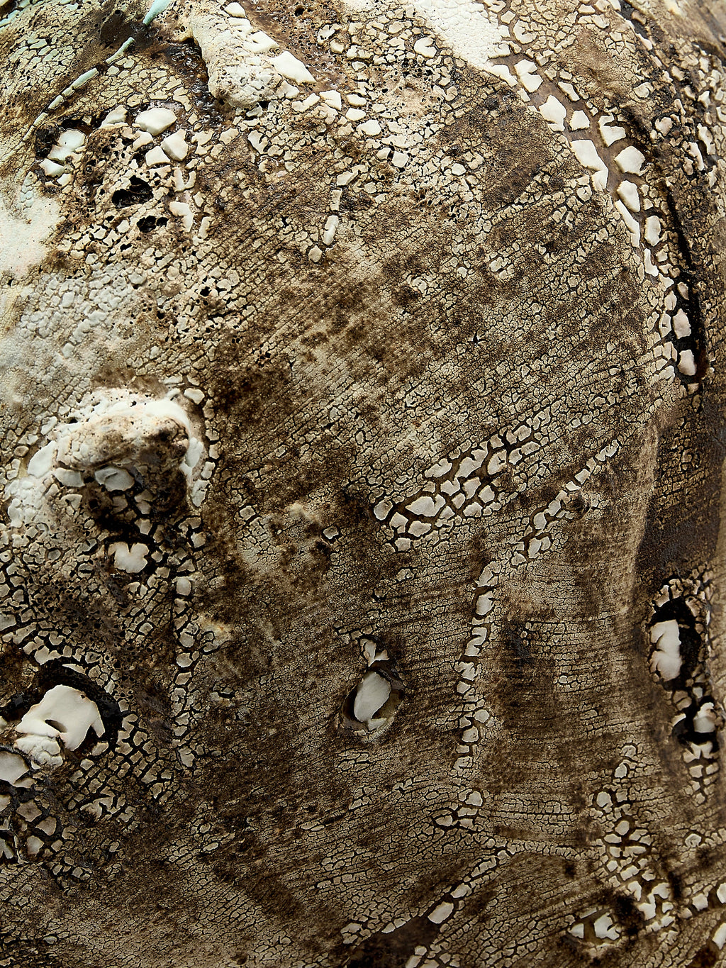 Poppy I Stoneware Vase (7in/18cm)