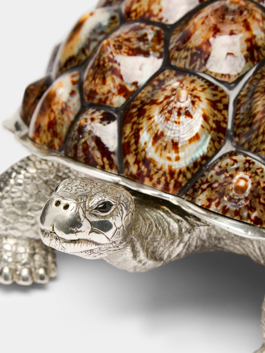 Galápagos Silver-Plated and Shell Box