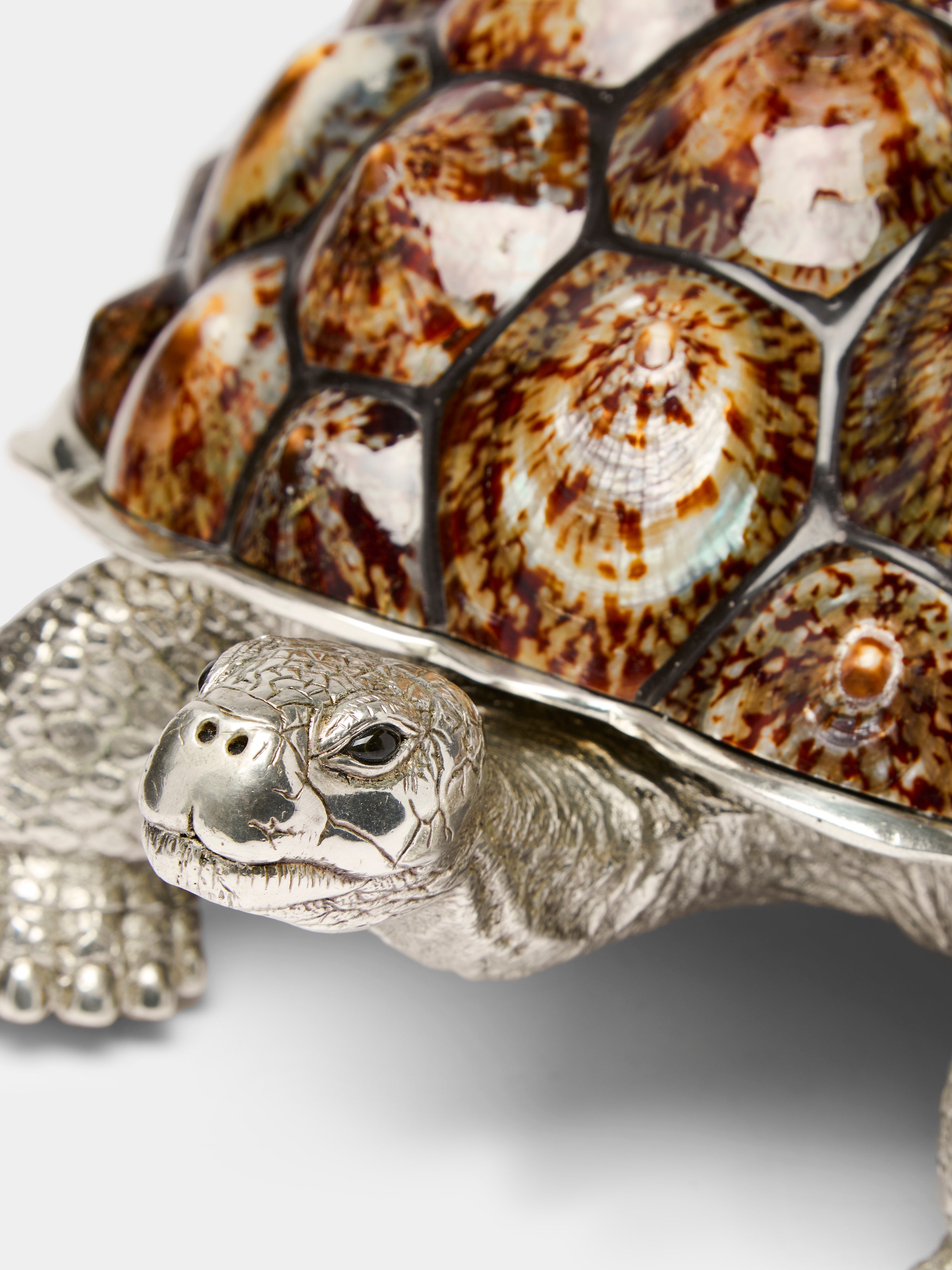 Galápagos Silver-Plated and Shell Box