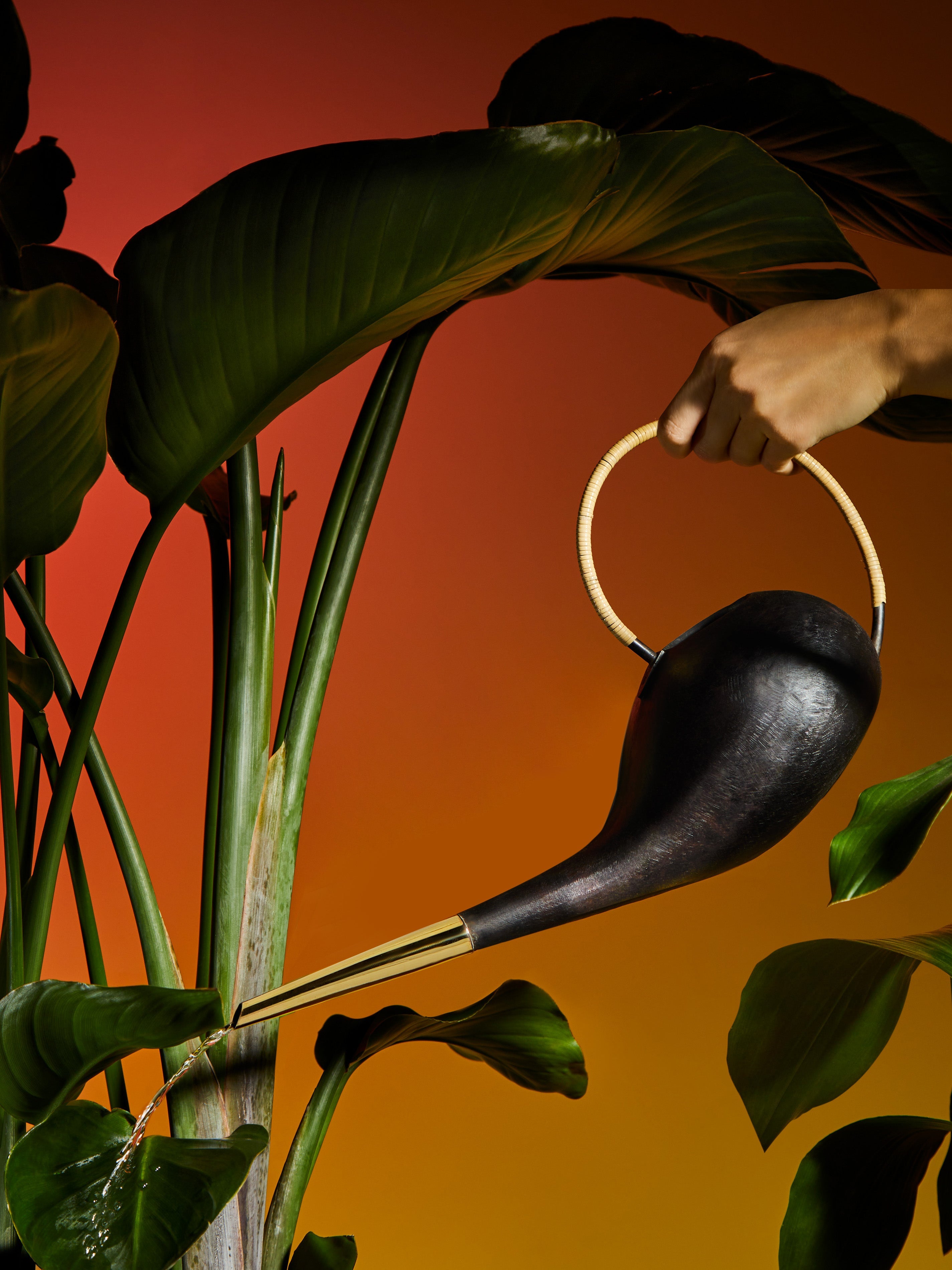 Brass, Iron and Cane Watering Can