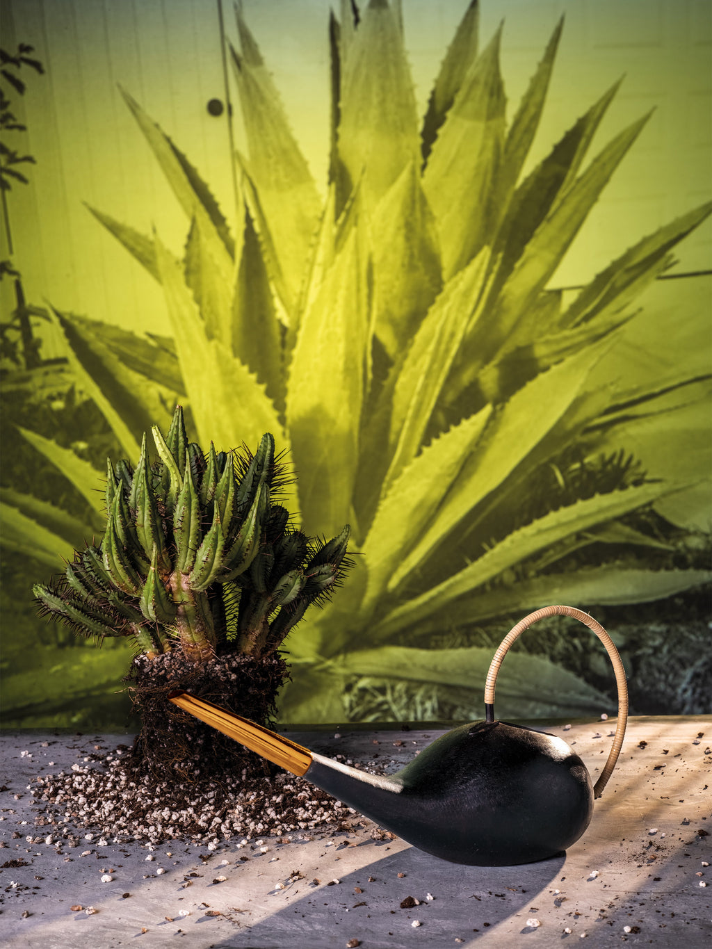 Brass, Iron and Cane Watering Can