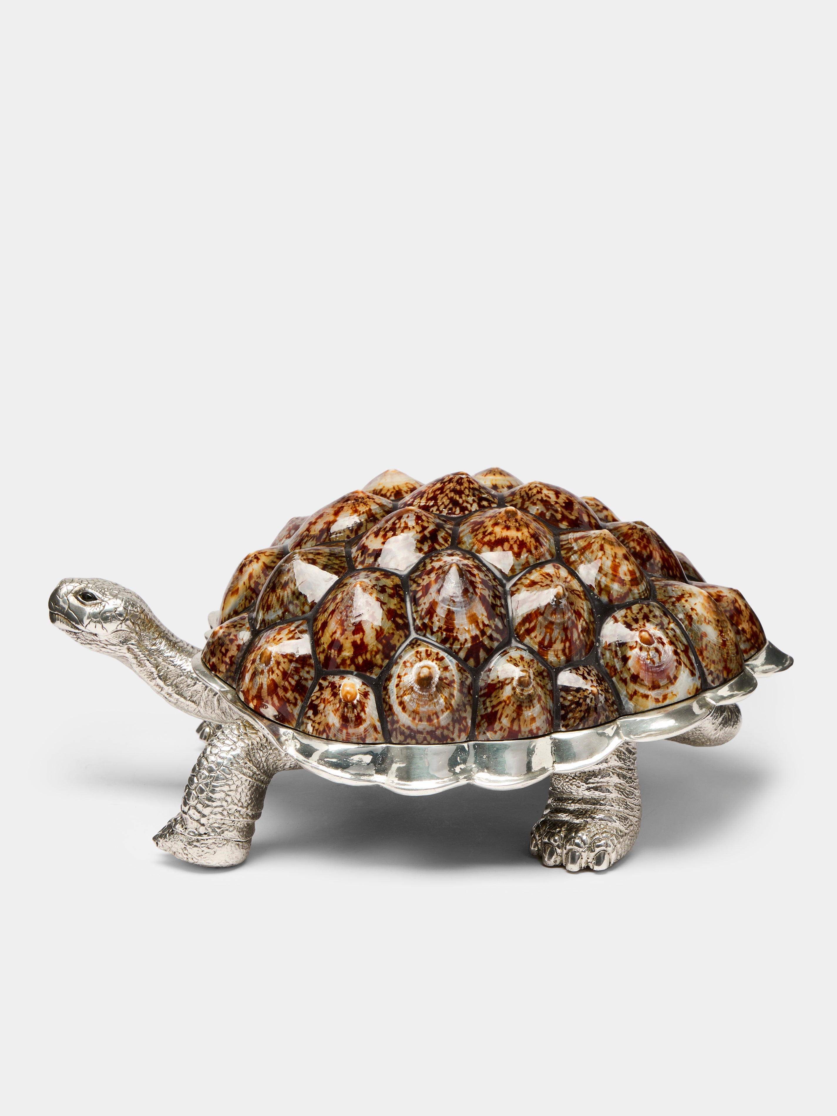 Galápagos Silver-Plated and Shell Box