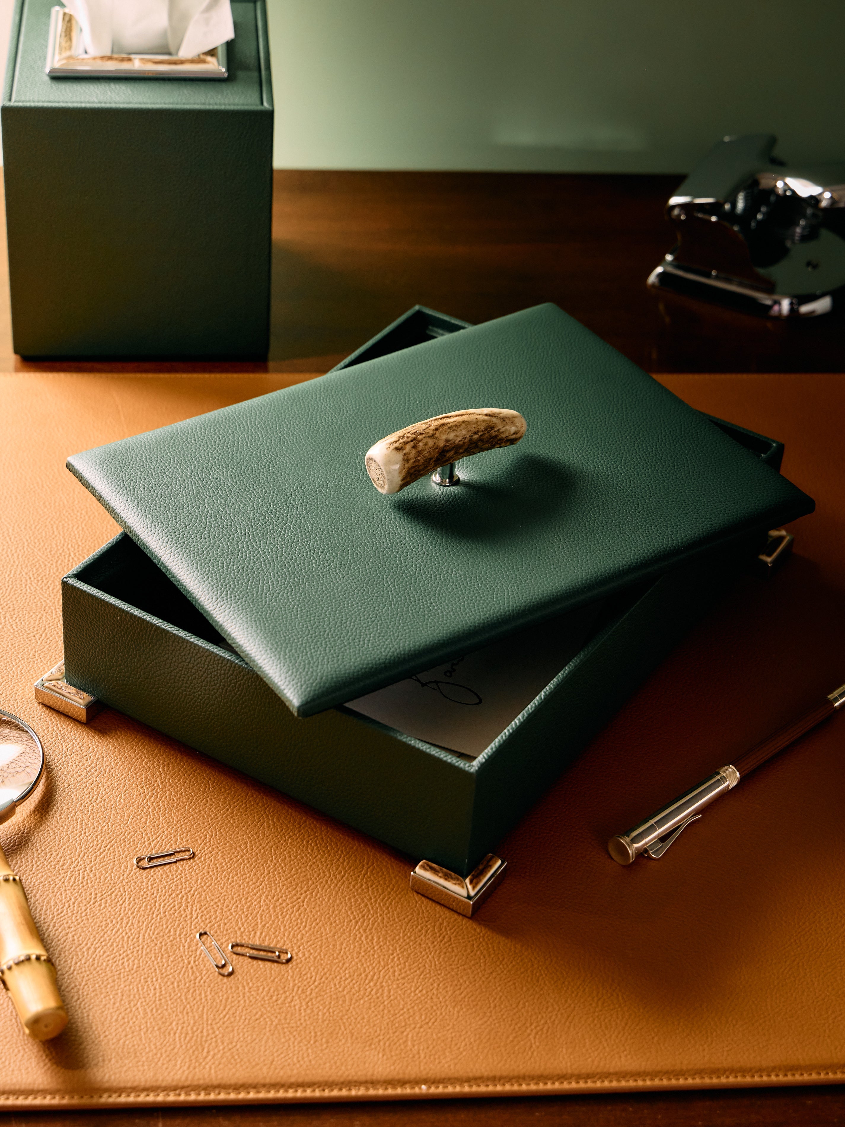 Leather and Stag Antler Rectangular Box