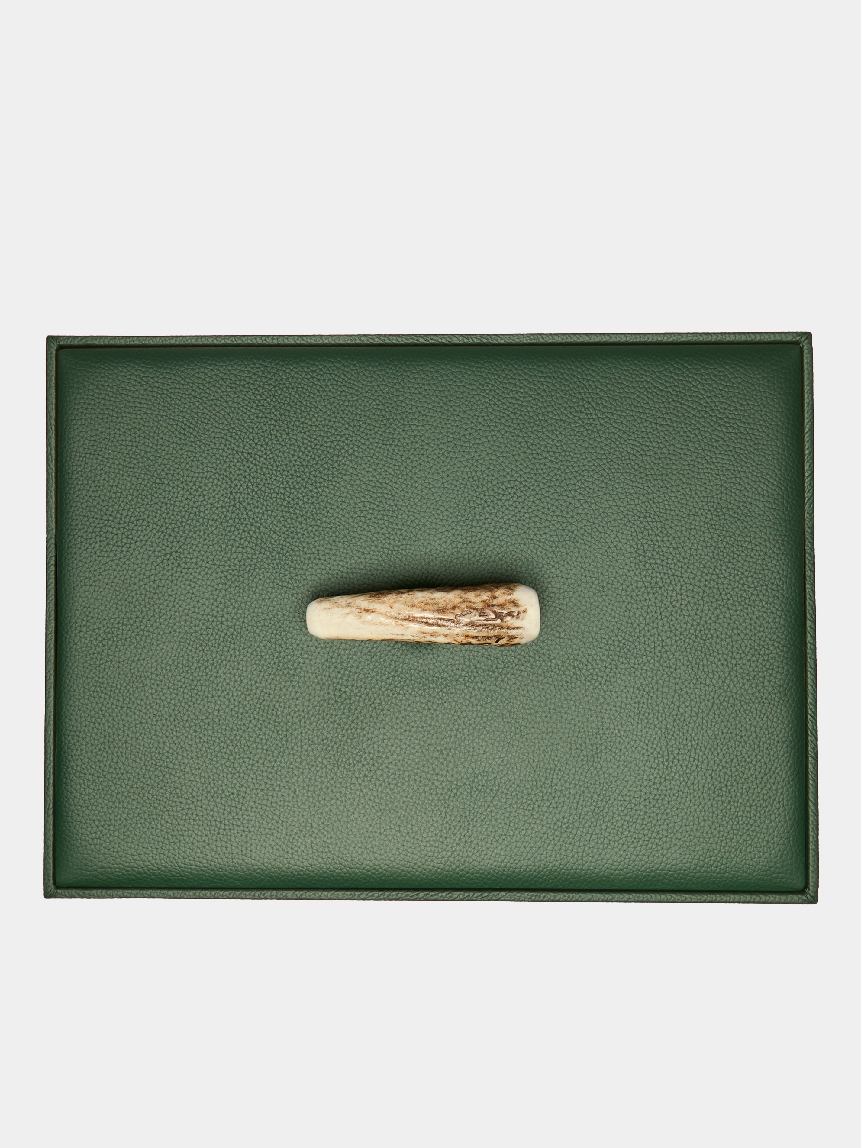 Leather and Stag Antler Rectangular Box