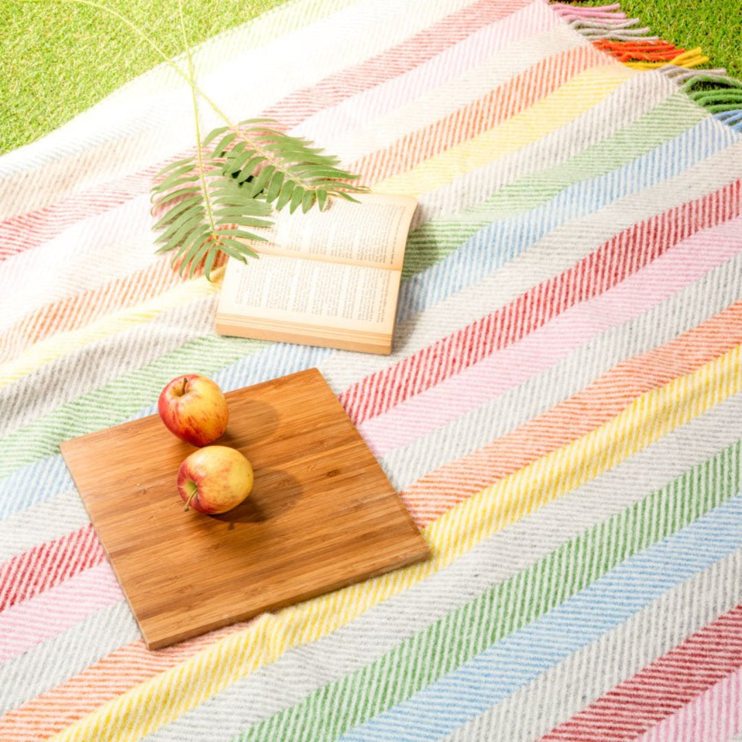 Heating & Plumbing London - Pure New Wool Waterproof Picnic Blanket - Rainbow