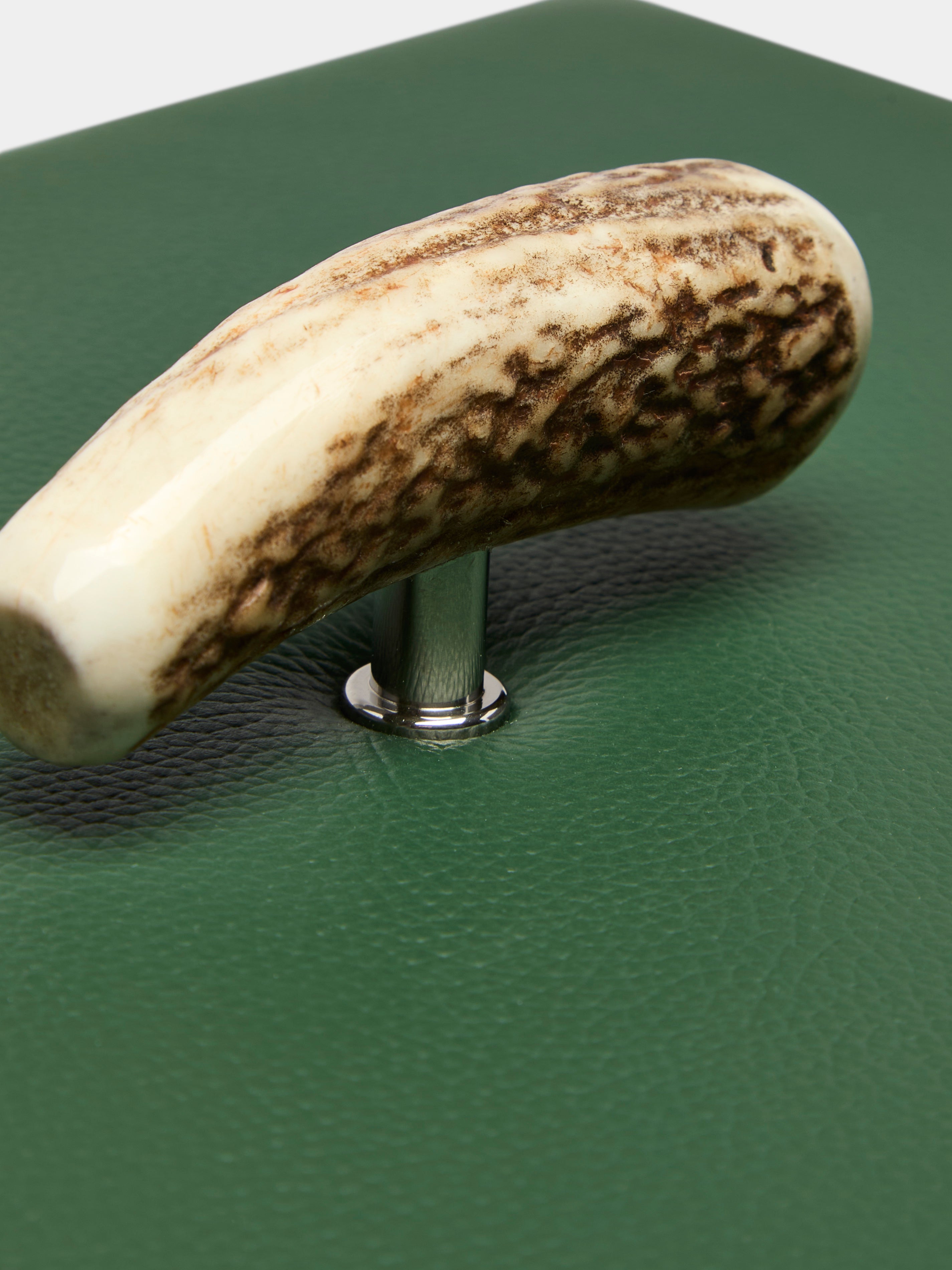 Leather and Stag Antler Rectangular Box