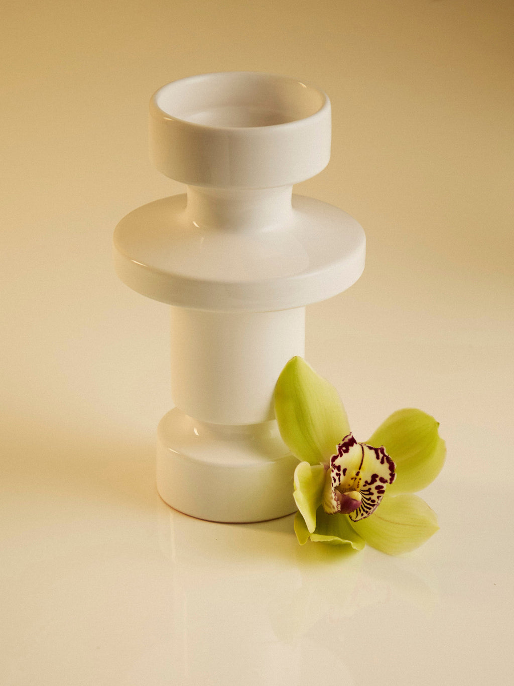 Ceramic Vase (8.5in/22cm)