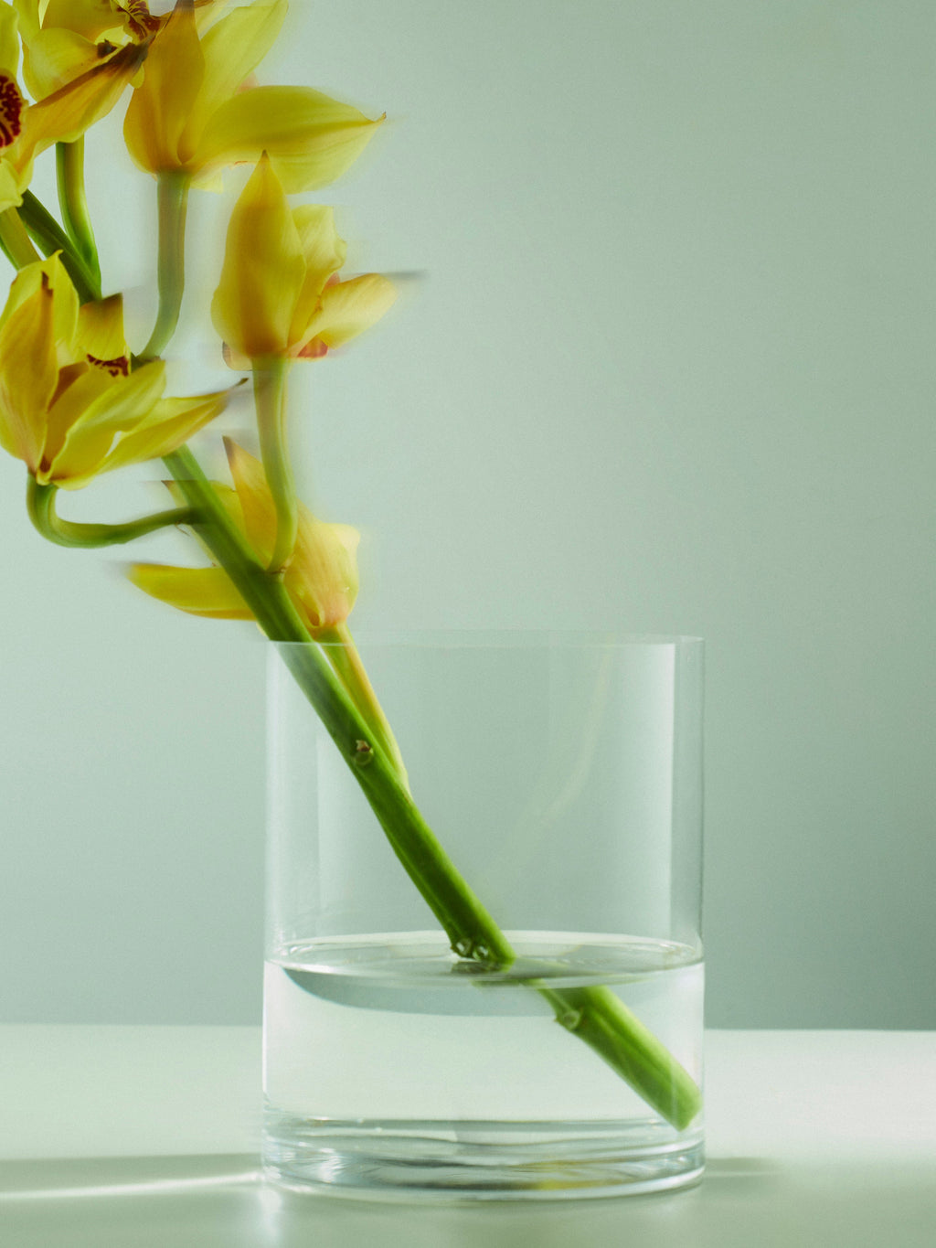 Hand-Blown Crystal Poppies Vase (6.5in/16.5cm)