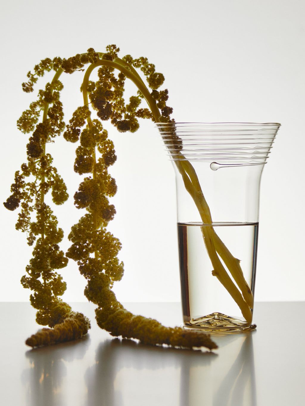 Hand-Blown Glass Vase (7.5in/19cm)