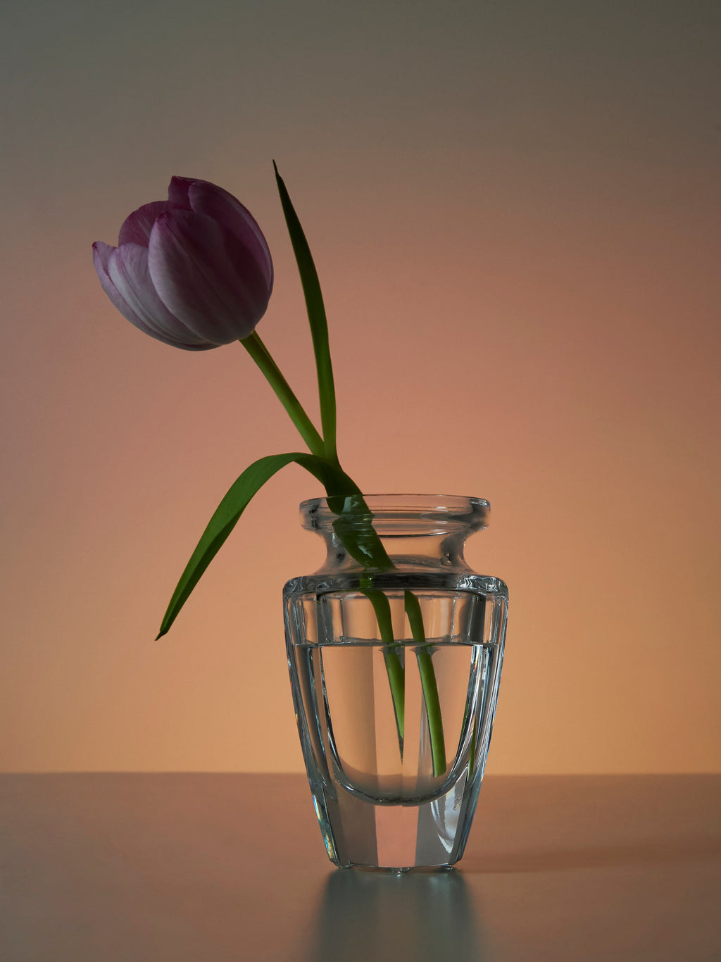 Eternity Hand-Blown Crystal Bud Vase (4.5in/12cm)