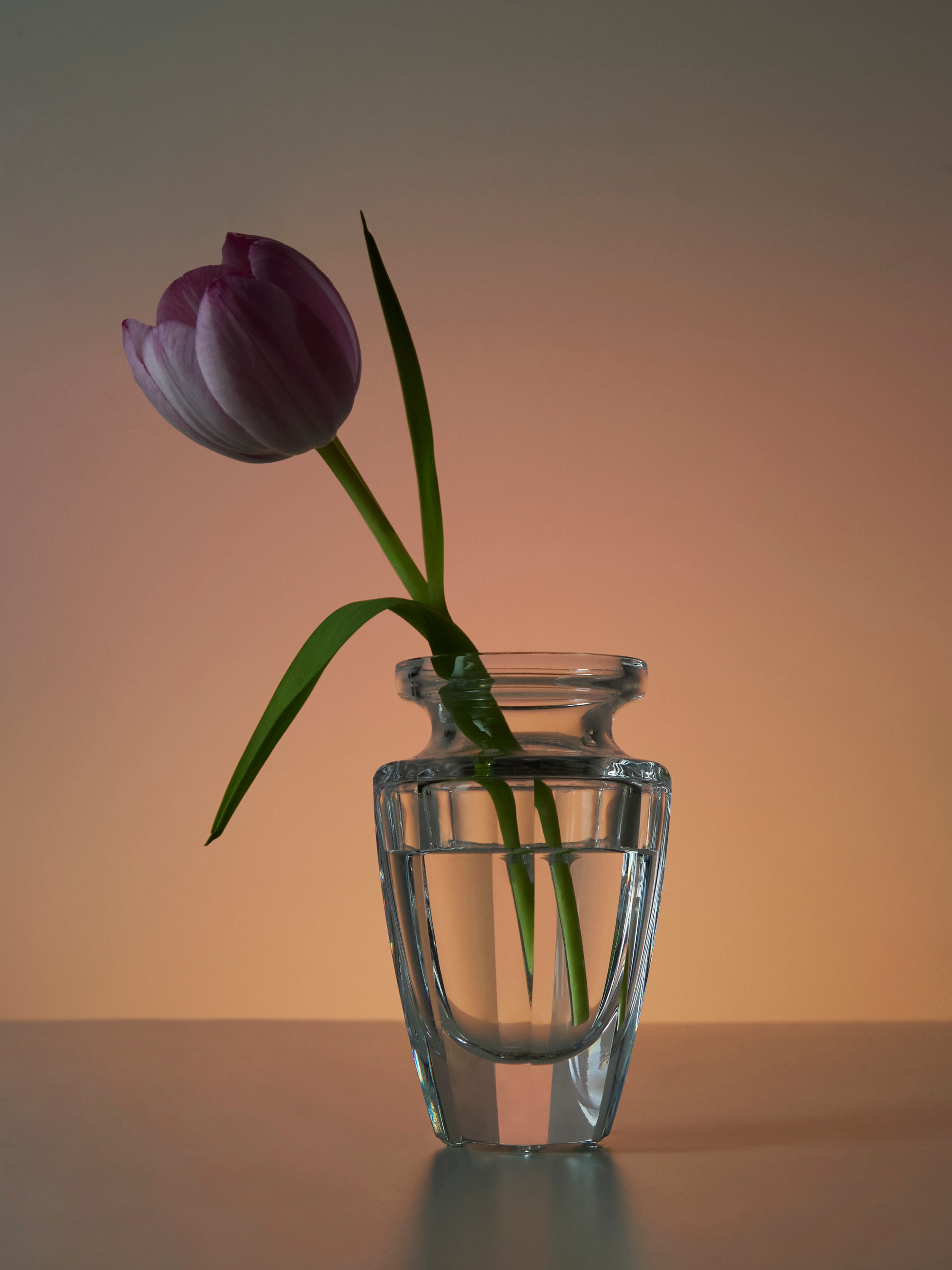 Eternity Hand-Blown Crystal Bud Vase (4.5in/12cm)