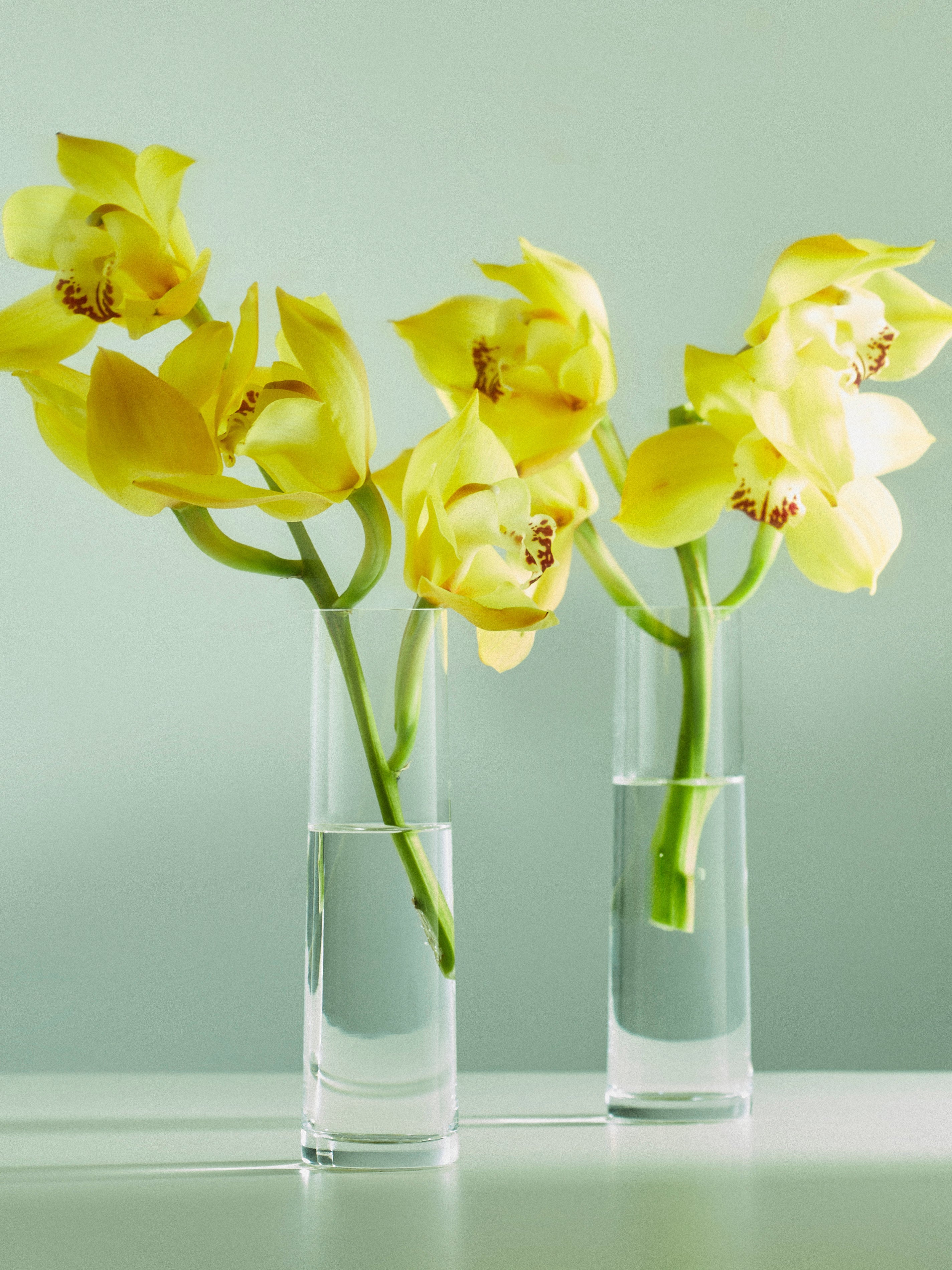 Hand-Blown Crystal Orchid Bud Vases – 6.5in/17cm (Set of 2)
