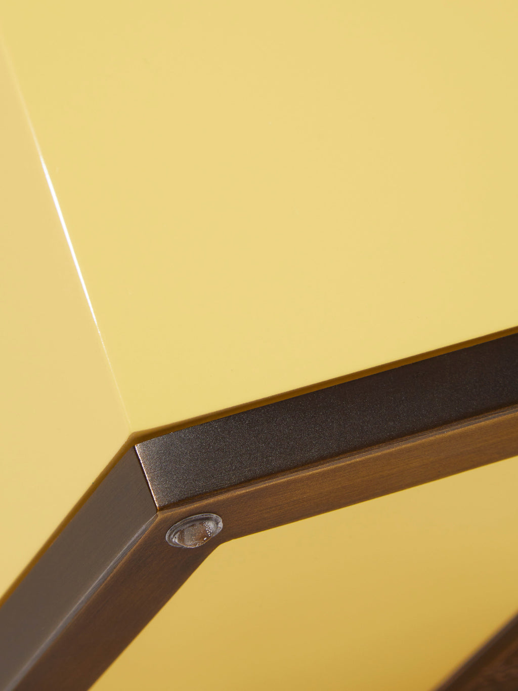 Lacquered Hexagonal Bin