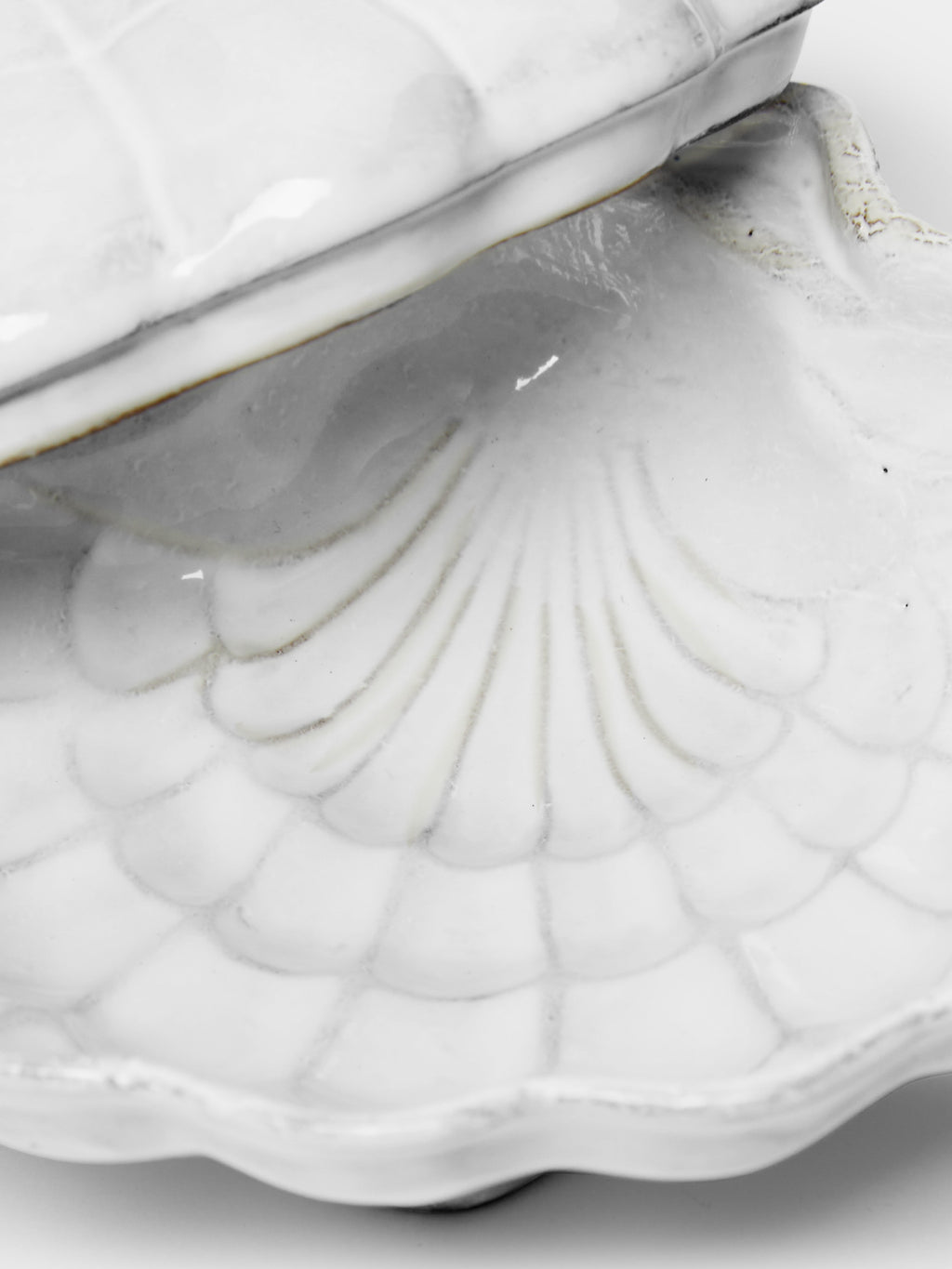 Shell Hand-Glazed Ceramic Box